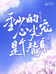 季先生,别套赂