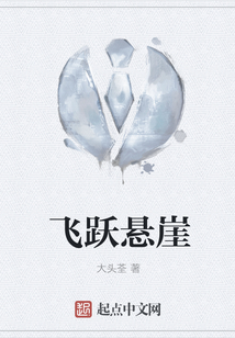 汽车飞跃悬崖