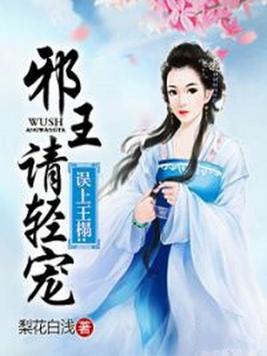 误上王榻:邪王请轻宠小说