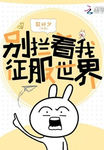 别拦着我征服全世界