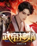 武帝神婿