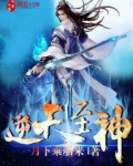 逆天至神