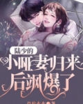 陆少的小哑妻归来后飒爆了!